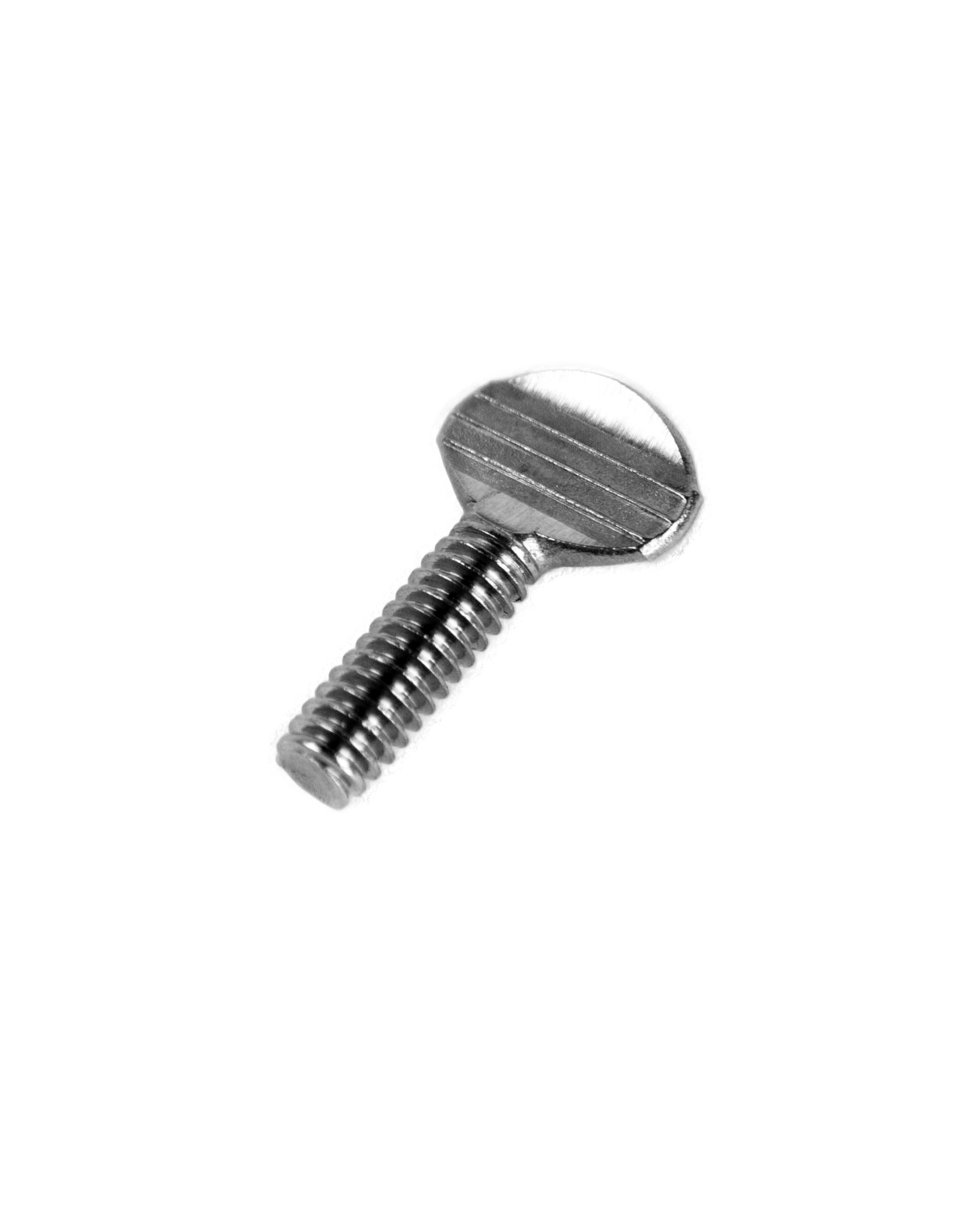 Metal screw on a white background